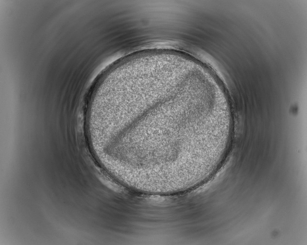 X0000100970827200807221207