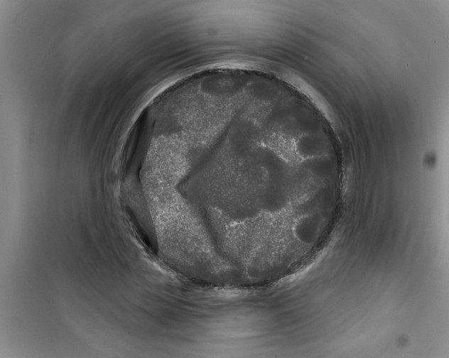 X0000100970829200807221207