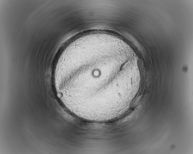 X0000100970831200807221207