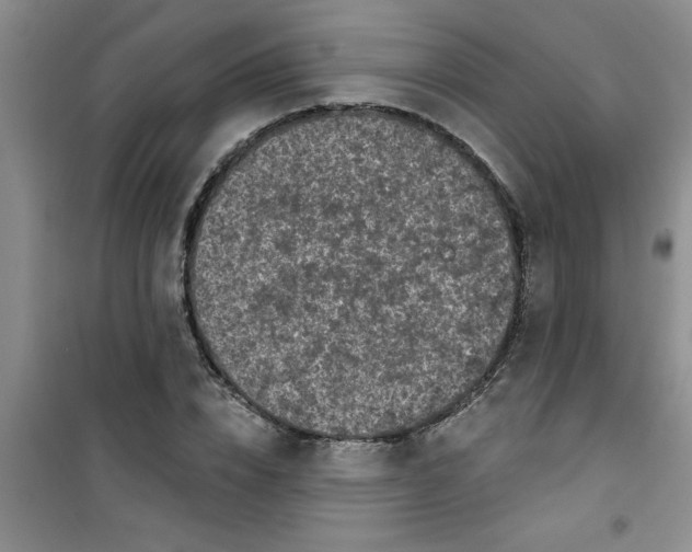 X0000100970832200807221207