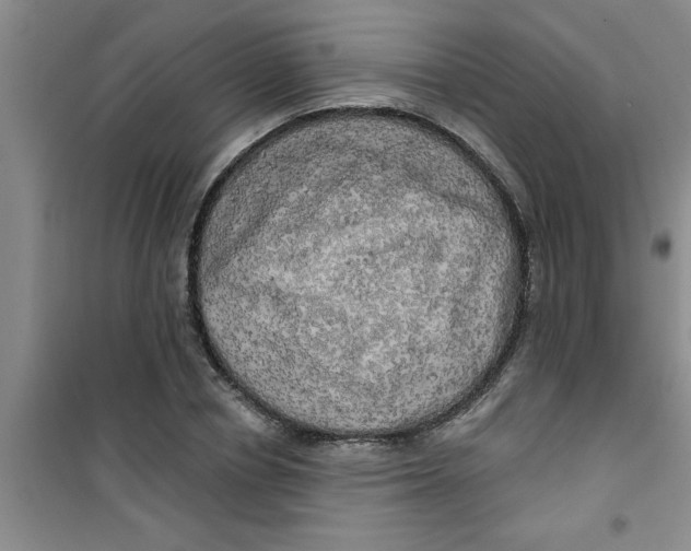 X0000100970834200807221207