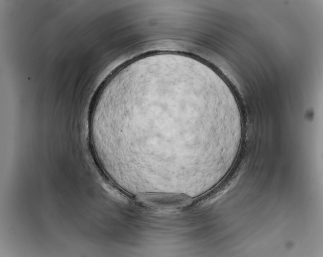 X0000100970837200807221207