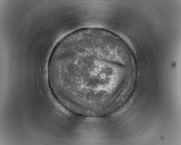 X0000100970840200807221207