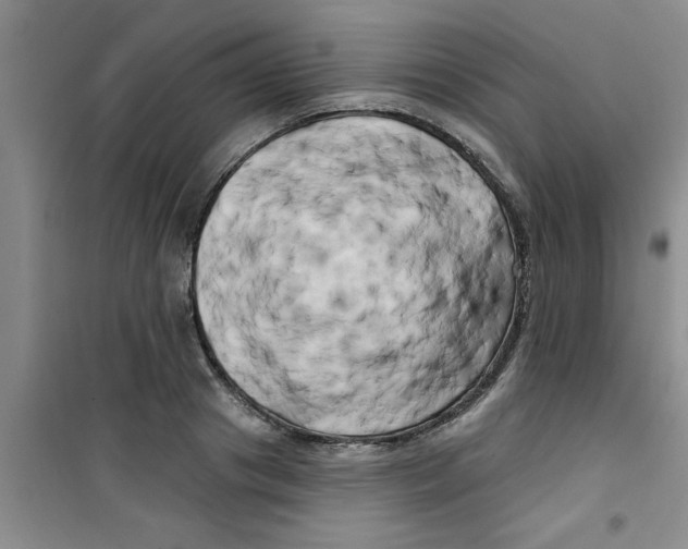 X0000100970841200807221207