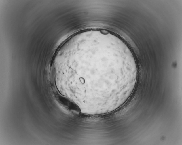 X0000100970842200807221207
