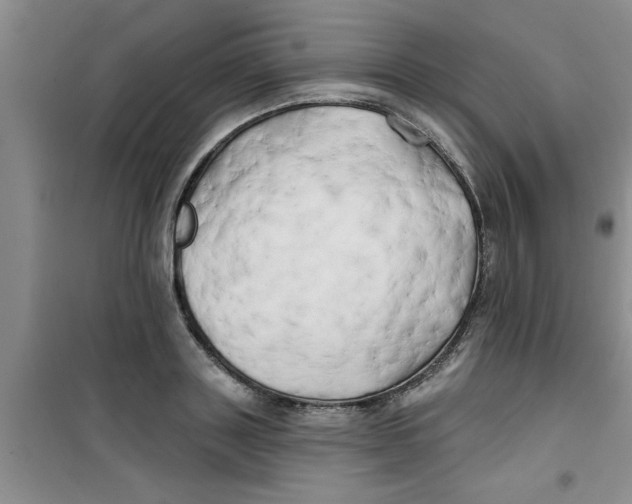 X0000100970843200807221207