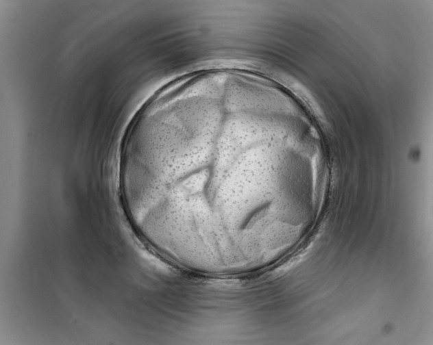 X0000100970844200807221207