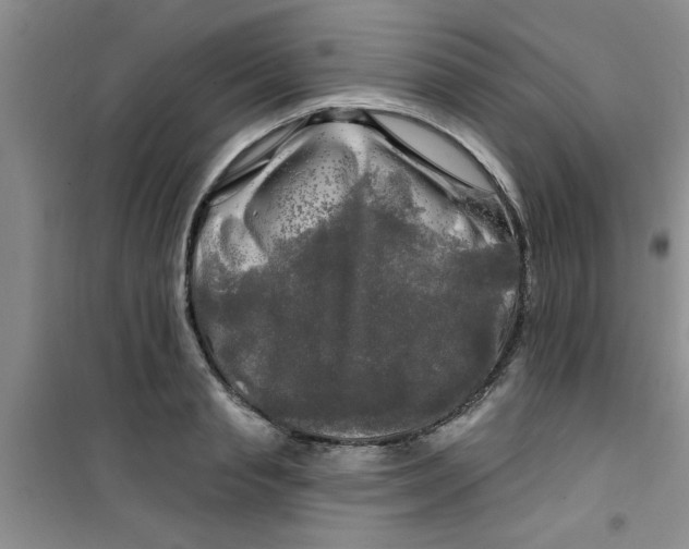 X0000100970845200807221207