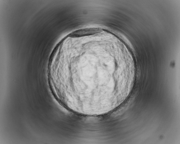 X0000100970847200807221208