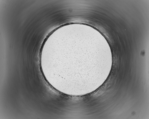 X0000100970848200807221208