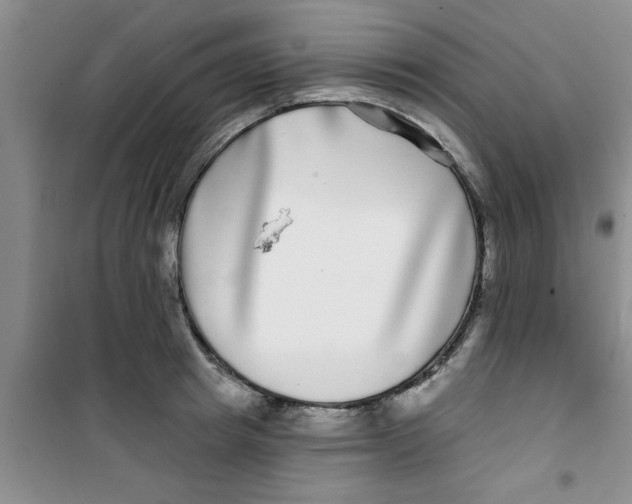 X0000100970849200807221208
