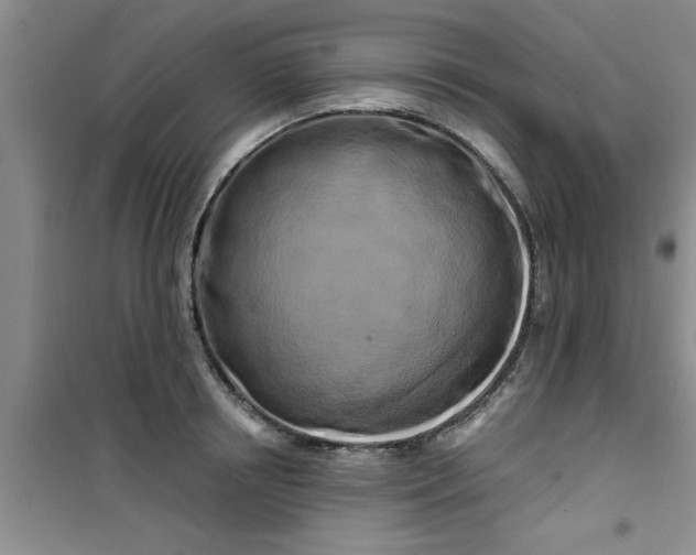 X0000100970850200807221208