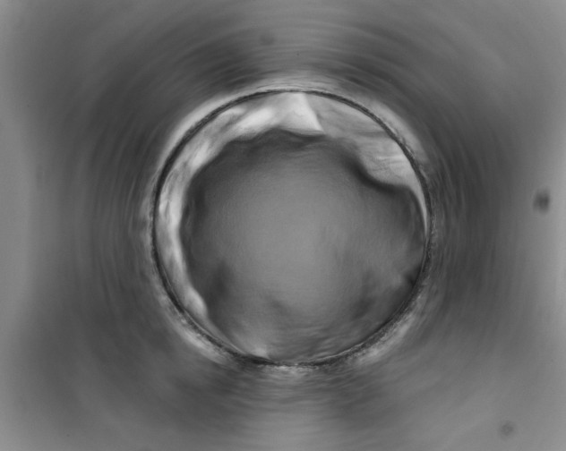 X0000100970854200807221208