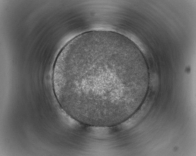 X0000100970856200807221208