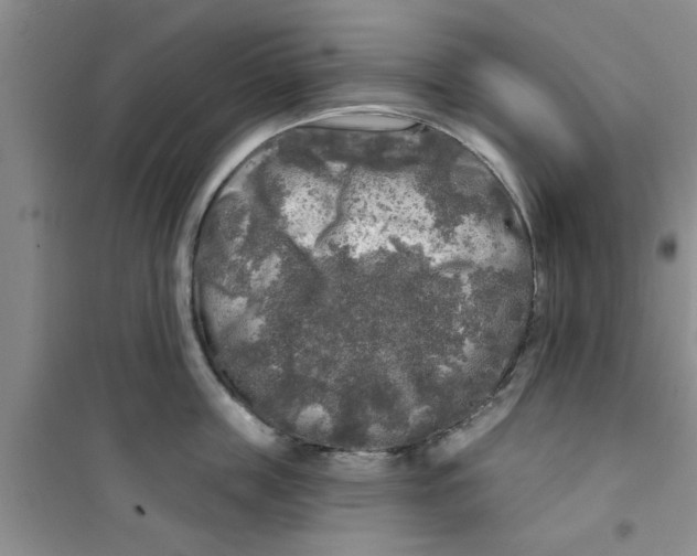 X0000100970859200807221208