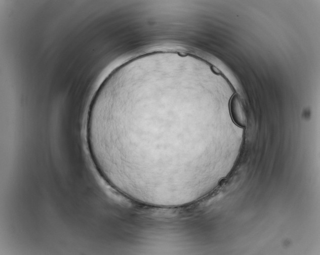 X0000100970861200807221208