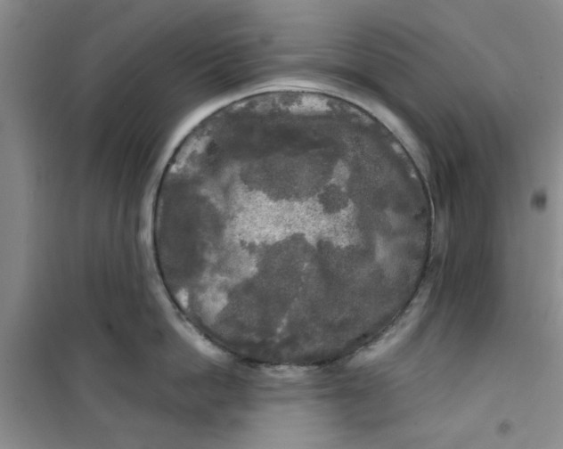 X0000100970862200807221208
