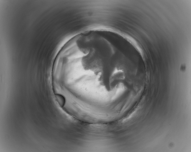 X0000100970863200807221208