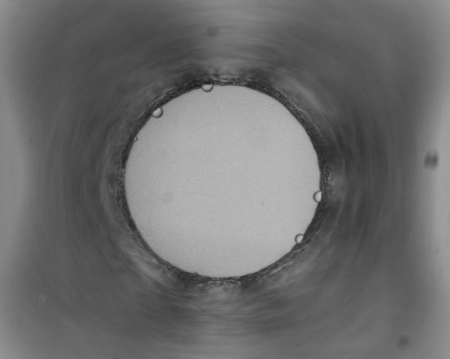 X0000100970865200807221207