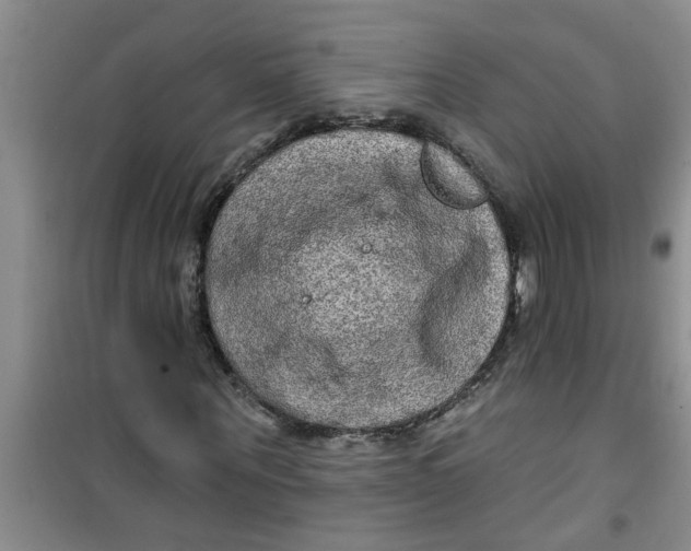X0000100970867200807221207
