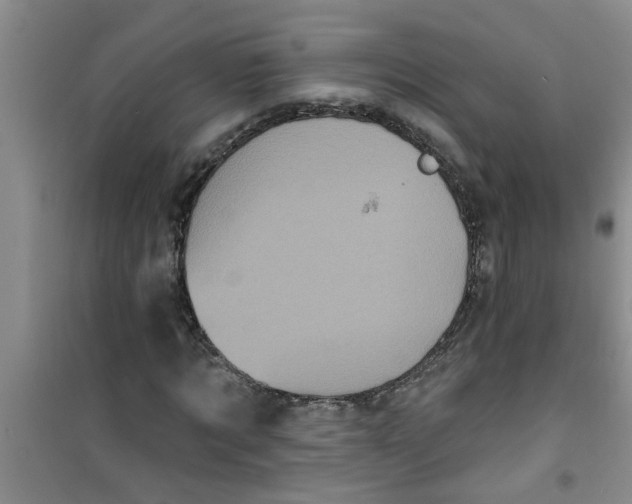 X0000100970869200807221207