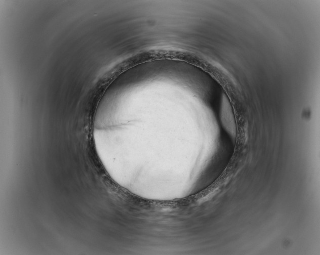X0000100970870200807221207