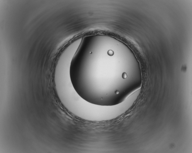 X0000100970872200807221207