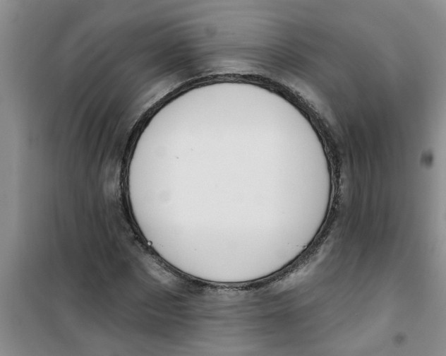 X0000100970873200807221207