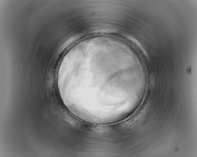 X0000100970874200807221207