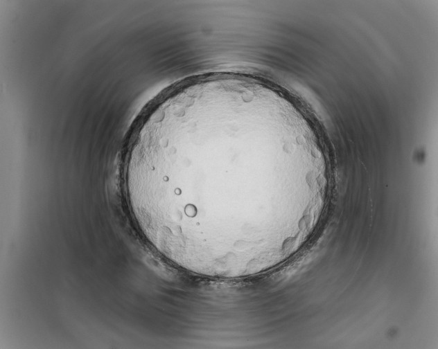 X0000100970875200807221207