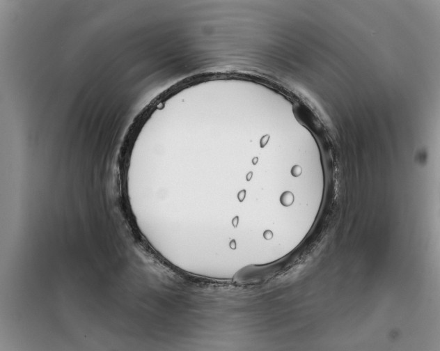 X0000100970876200807221207