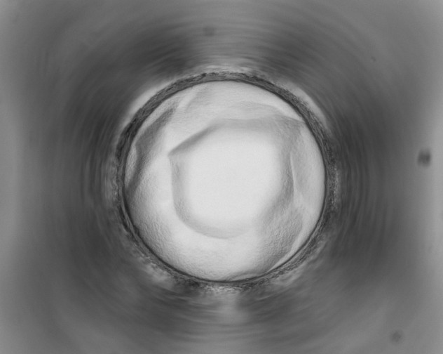 X0000100970878200807221207