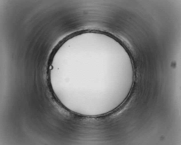 X0000100970880200807221207