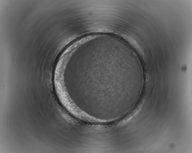 X0000100970881200807221207