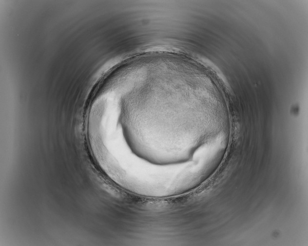 X0000100970882200807221207