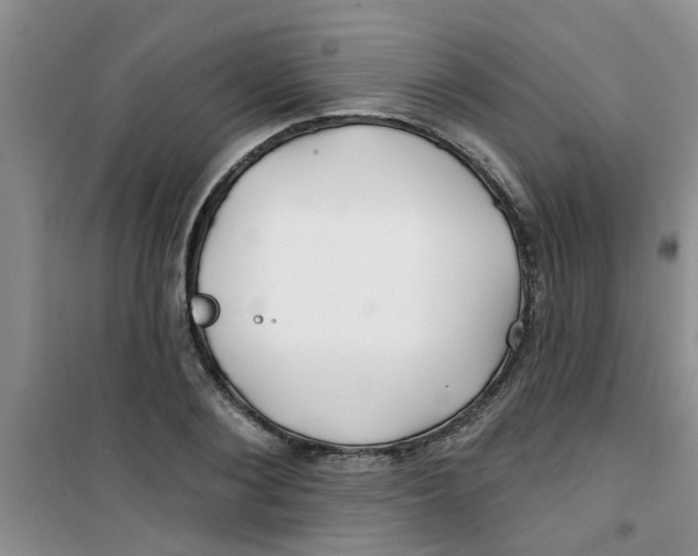 X0000100970884200807221207