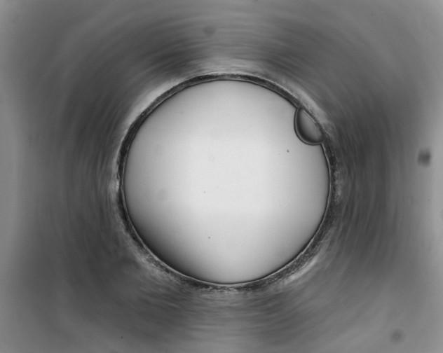 X0000100970885200807221207
