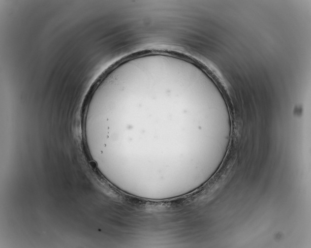 X0000100970887200807221207