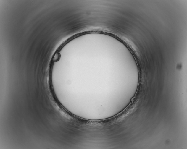 X0000100970888200807221207