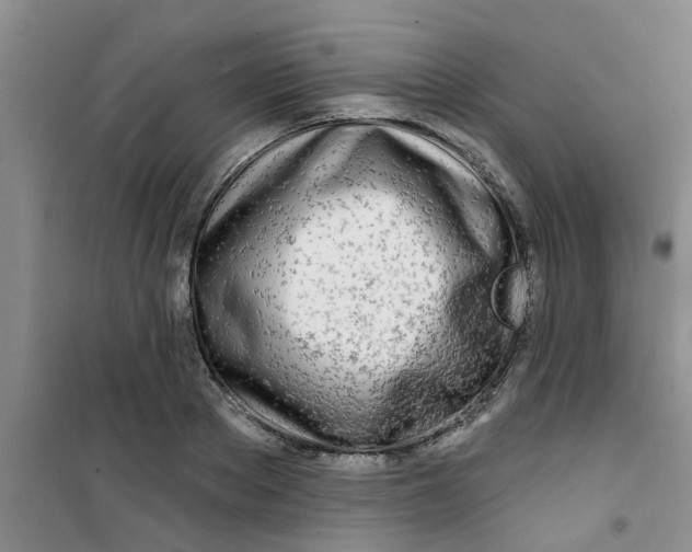 X0000100970889200807221207
