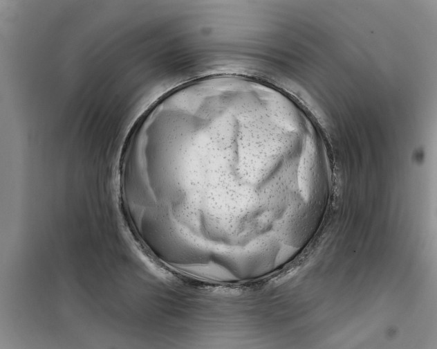 X0000100970890200807221207