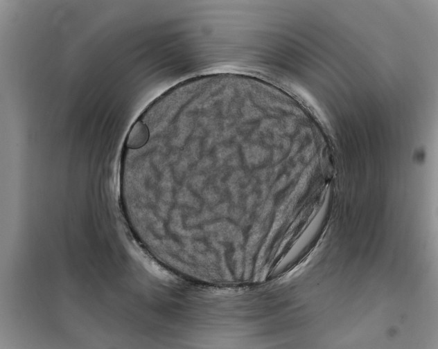 X0000100970892200807221207