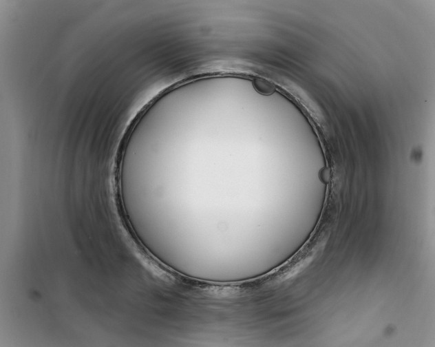 X0000100970893200807221207