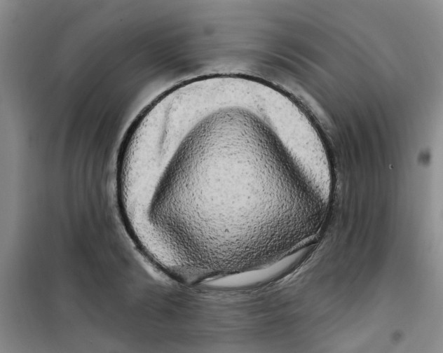 X0000100970894200807221207