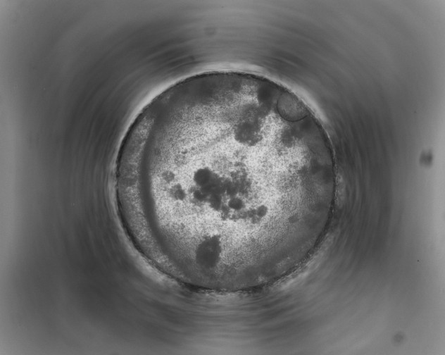 X0000100970895200807221206