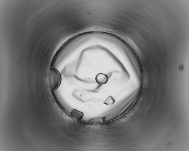 X0000100970896200807221206