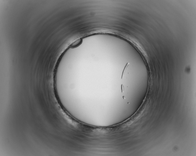 X0000100970898200807221206
