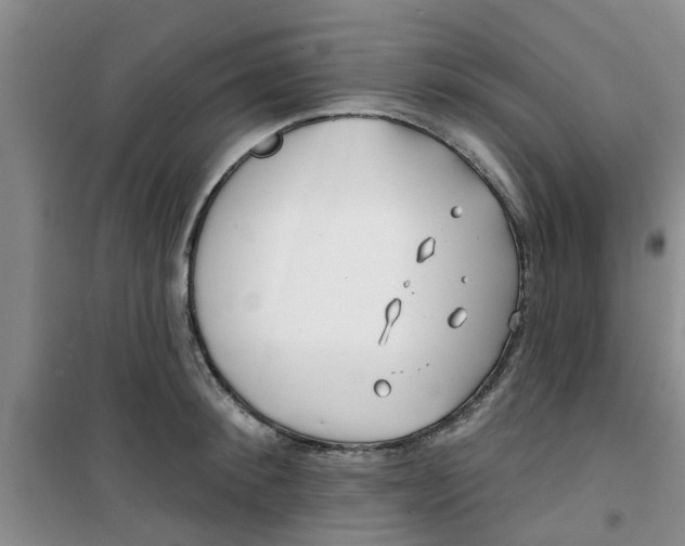 X0000100970900200807221206