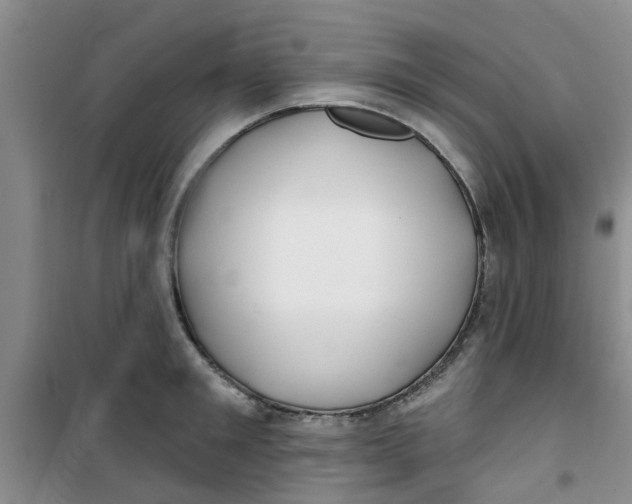 X0000100970901200807221206