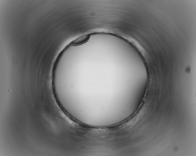 X0000100970902200807221206